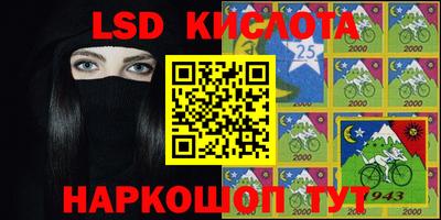 spice Камышлов