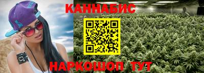 spice Камышлов
