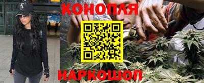 spice Камышлов