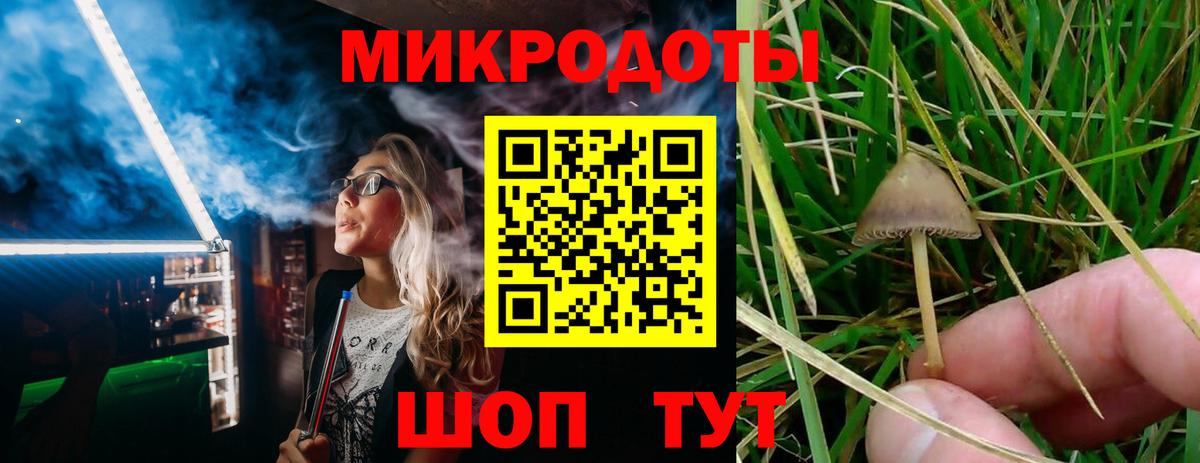 Вичуга  Псилоцибиновые грибы GOLDEN TEACHER  Галлюциногенные грибы Psilocybe  Вход с VPN 